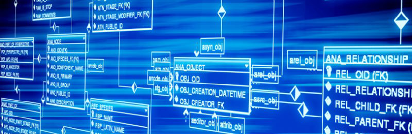 Microsoft SQL Server Database Solutions